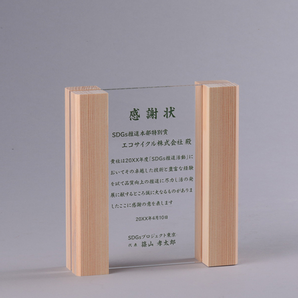 SDGsL73-01
